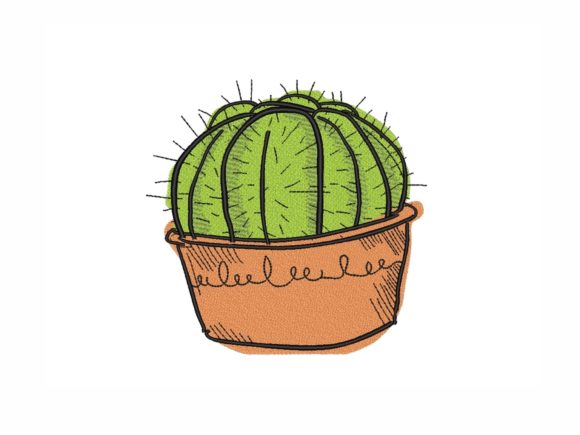 Cactus in a Pot: A Designer's Real-World Review