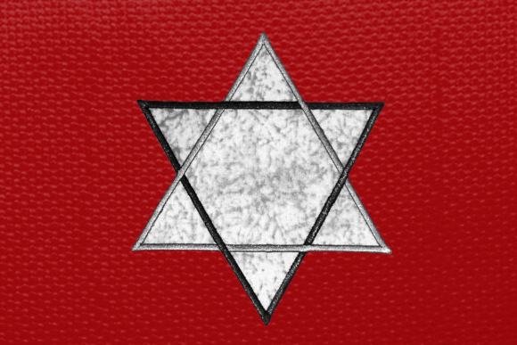 Intertwined Star of David Applique Review